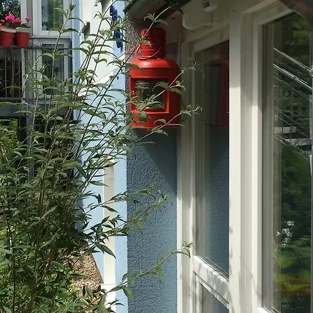 Kompass * Росток